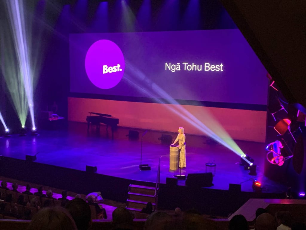 DINZ Best Design Awards: Kakapo Creek Early Learning Centre – Gold