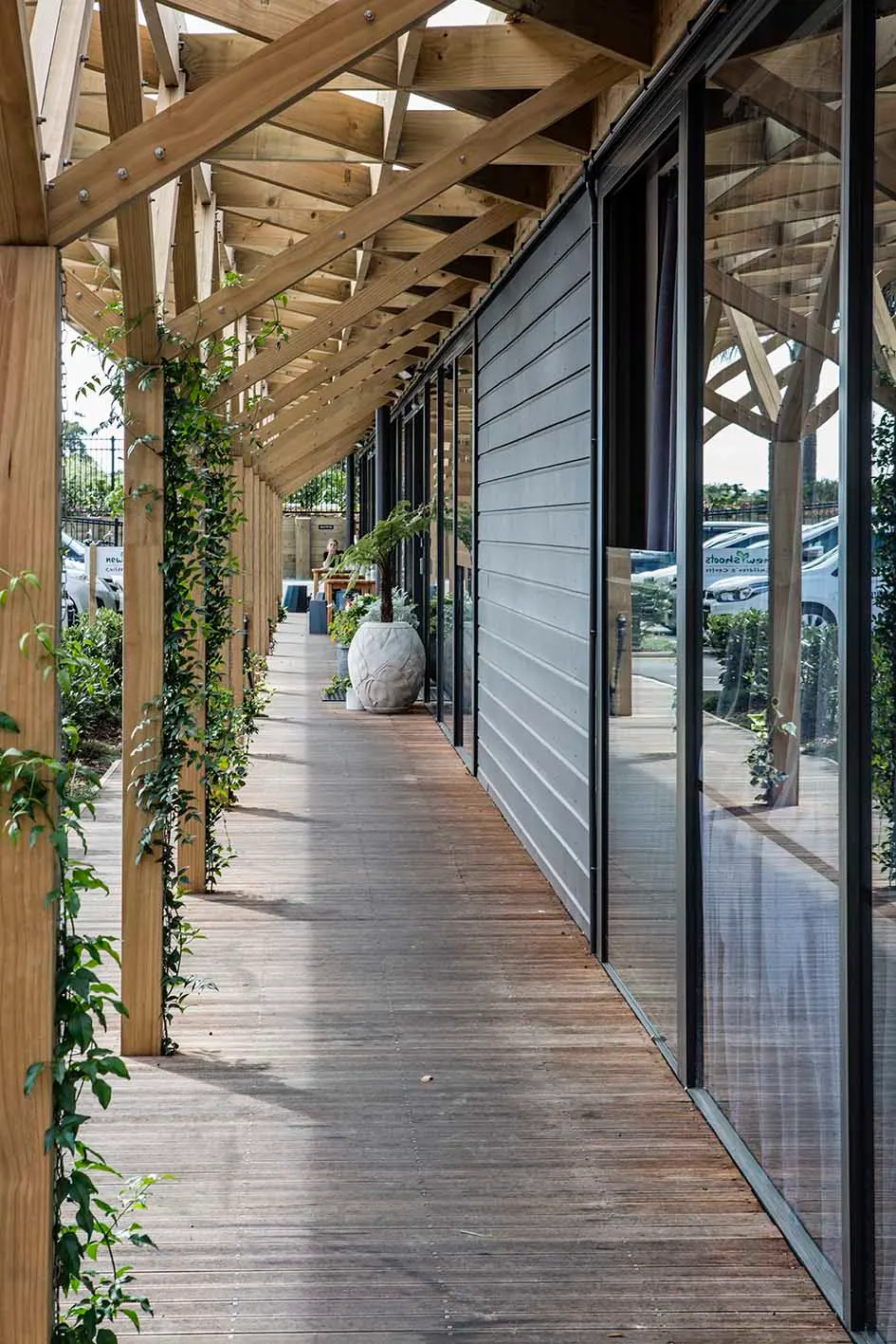 New Shoots Children's Centre Features in Stuff NZ