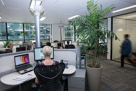 NZGBC fit-out in Architecture Now